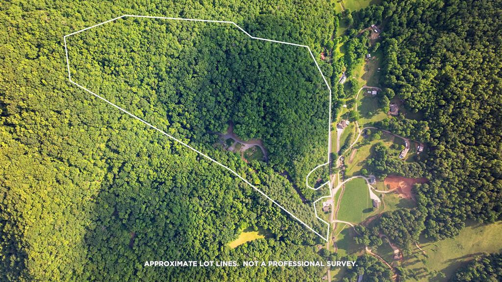 Listing Photo 26041261